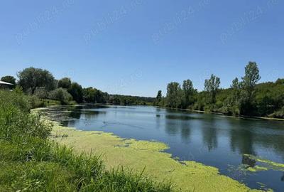 Teren de 560 mp, în Frumușani - 4