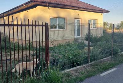 Casă cu 2 camere în Ulmi - 4