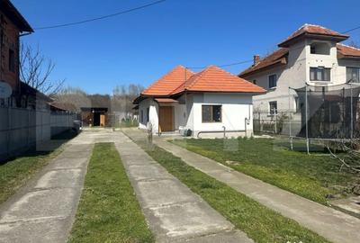 Casă cu 4 camere cu Teren 8096 Mp în Central - 5