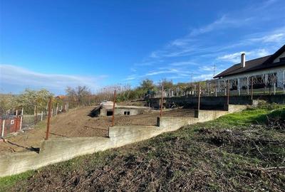 Teren Construcții intravilan de 640 mp, în Sud-Est - 6