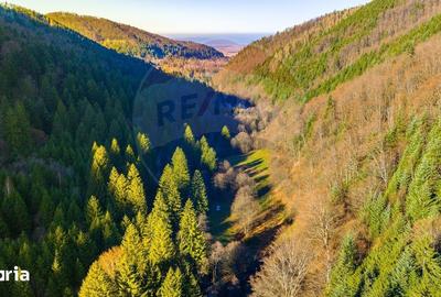 Teren de 17939 mp, în Mănești - 5
