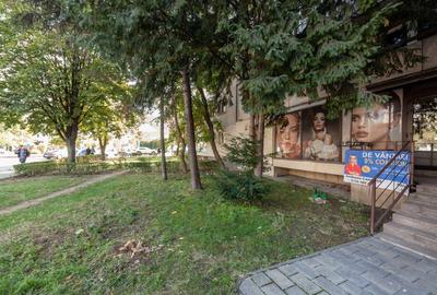 De vanzare- Spatiul Care Iti Poate Transforma Afacerea Pitesti-Exercitiu! - 2