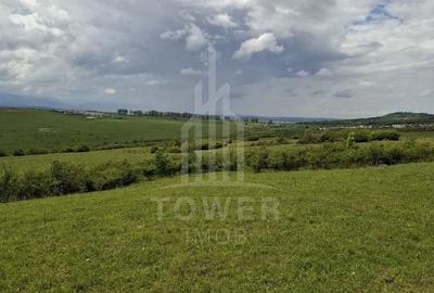 De vanzare, teren 11.500 mp – Dealul Dăii,  Vedere panoramică spre munți și lac - 9