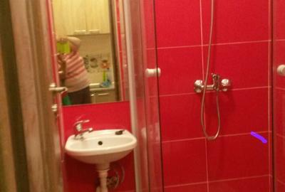 Garsonieră nedecomandată în Buziașului - 8