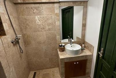 Vilă tip chalet pe malul Pârâului  Bistra - complet utilată, vedere liberă - 5