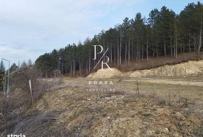 Spațiu comercial, în Florești