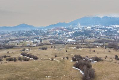 Teren Construcții intravilan de 5602 mp, în Tohanu Nou - 8