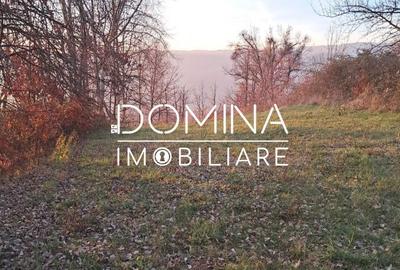 Teren de 3100 mp, în Central - 1