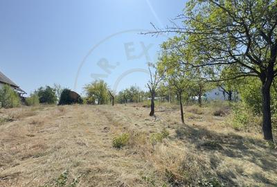 De vanzare Teren extravilan 2000 mp Carei - Gradina Viilor, Valea Tireamului - 2