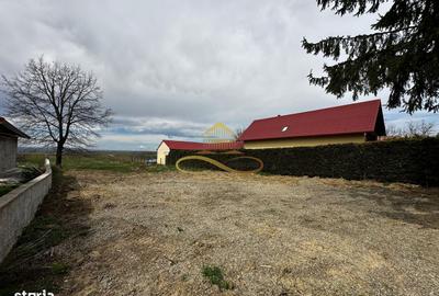 Spațiu comercial, în Prăjești - 2