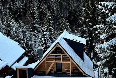 Casă cu 2 camere cu Teren 425 Mp în Iosefin - 8