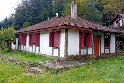 Casa de vacanta Crivaia, langa Valiug -locatie idilica, ideala pentru timp liber - 3