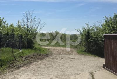 Teren Construcții intravilan de 3015 mp, în Moșoaia - 2