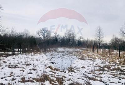 Teren Construcții intravilan de 2432 mp, în Cornu de Jos (Cornu) - 2