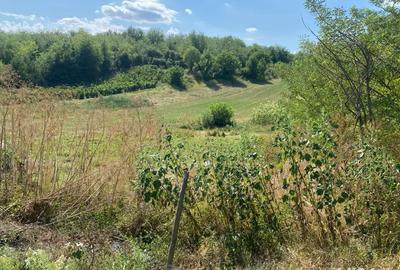 Casă cu 2 camere în Mânjești - 4