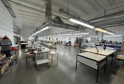 Complex industrial 30130 mp construit - Teren 42558 mp - 3