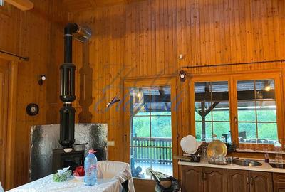 Casă cu 5 camere cu Teren 3000 Mp în Făget - 15