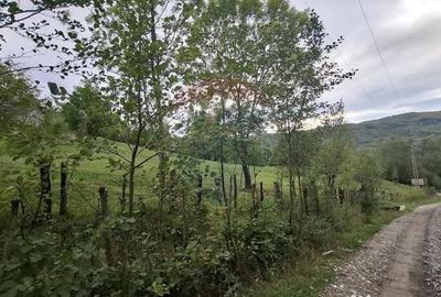 Teren de 4000 mp, în Moroeni - 7