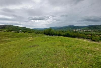 Teren extravilan 10000 mp, com Panatau - 7