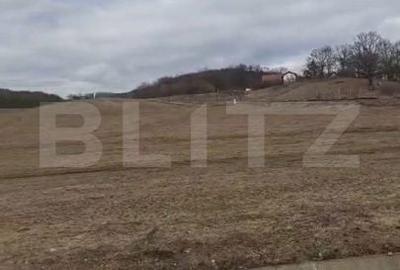Teren de 7500 mp, în Dâmbul Rotund - 1