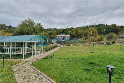 Casă individuală cu 7 camere cu Teren 3860 Mp în Exterior Vest - 19