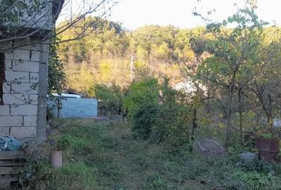 Vand casa Campurisurduc la 30 km de Deva,10 km intrare autostrada Ilia,jud Hunedoara - 8