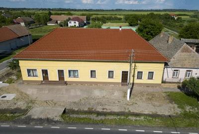 Cladire cu 5 camere cu teren ?i hala in Cenad - 13