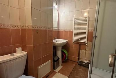 Inchiriere Apartament cu 2 camere Decomandat Podul de Fier - 4