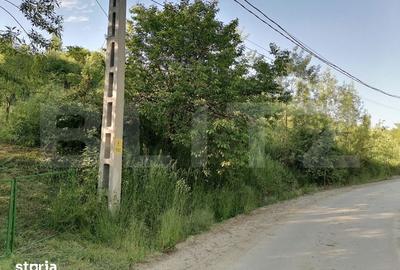 Teren de 14400 mp, în Voinești - 6