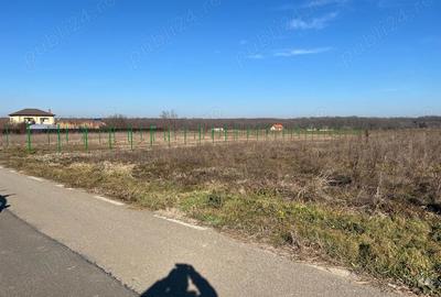 Gradistea -Ilfov, strada Nuferilor, teren intravilan 1000 mp 15m. - 3