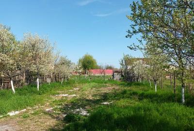 Casă cu 2 camere în Vurpăr - 1