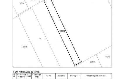 Teren Construcții intravilan de 80000 mp, în Frumușani - 6