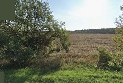 Teren intravilan 7500mp fs 38m DN1 - 1