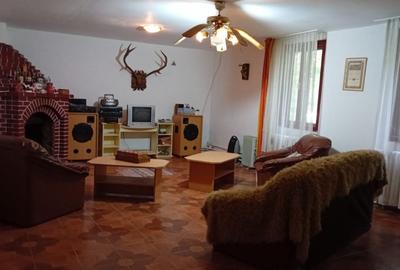 Casă individuală cu 6 camere cu Teren 854 Mp în Văliug - 4