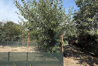Casă cu 3 camere cu Teren 1797 Mp în Iecea Mică - 4