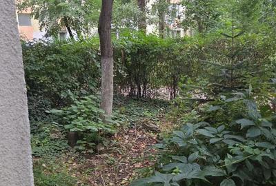 Apartament nedecomandat Alexandru - 8