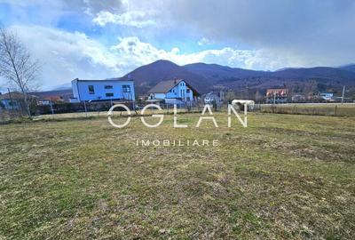 Teren in Cisnadioara, cu PUZ, zona PREMIUM. COMISION 0% - 3
