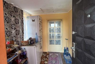 Casă cu 2 camere în Copaciu - 4