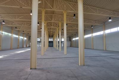 HALA DEPOZITARE CU ETAJ PARTIAL PENTRU BIROURI AMPLASAMENT: OTOPENI - 40