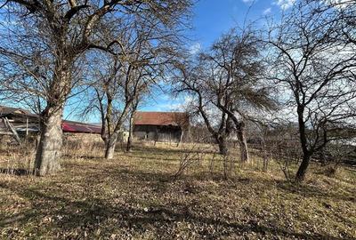 Comision 0%Casa traditionala, la 25 km de Brasov - 3