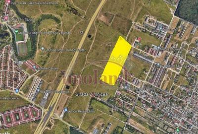 TEREN PIPERA MATEI MILLO - 1