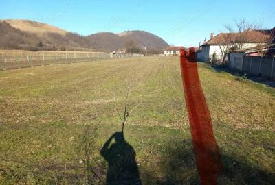 Teren de 3000 mp, în Subcetate - 3