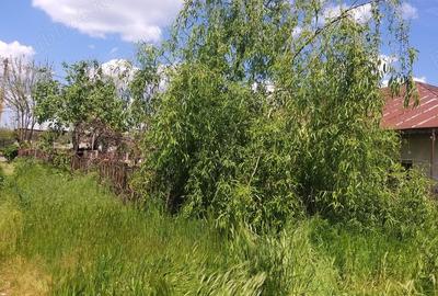 Casa de vanzare - Calugareni , Hulubesti - 1