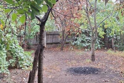 Casa de vanzare in Caracal, Olt Casa de vanzare in Caracal, Olt - 4