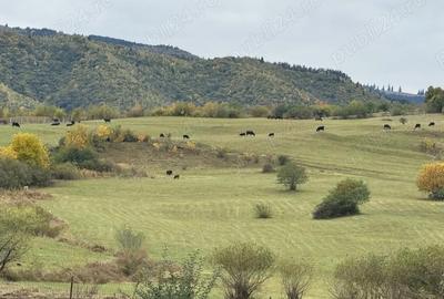 Teren de 2400 mp, în Orlat - 4