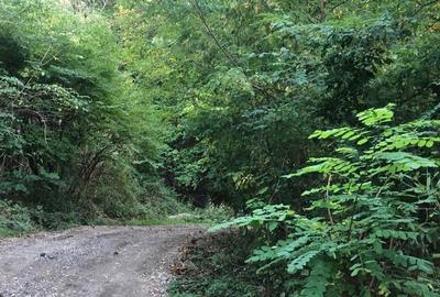 Teren de 1500 mp, în Vlădești - 4