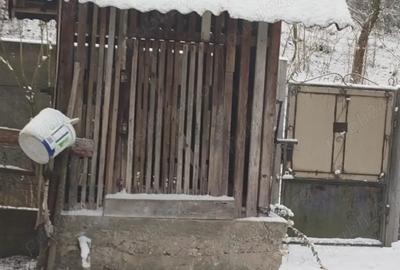 Casă cu 4 camere cu Teren 1350 Mp în Rovina (Brănișca) - 4