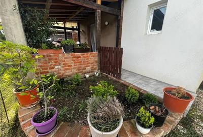 Sag- 7 camere- strada asfaltata- partial mobilata si utilata - 2