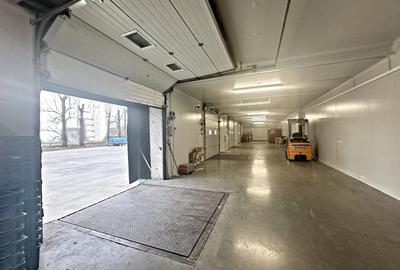 Spațiu industrial, de 100 mp, în Nufărul - 5