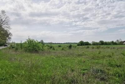 Corbeanca Padure Teren 1000mp Corbeanca Padure Teren 1000mp - 4